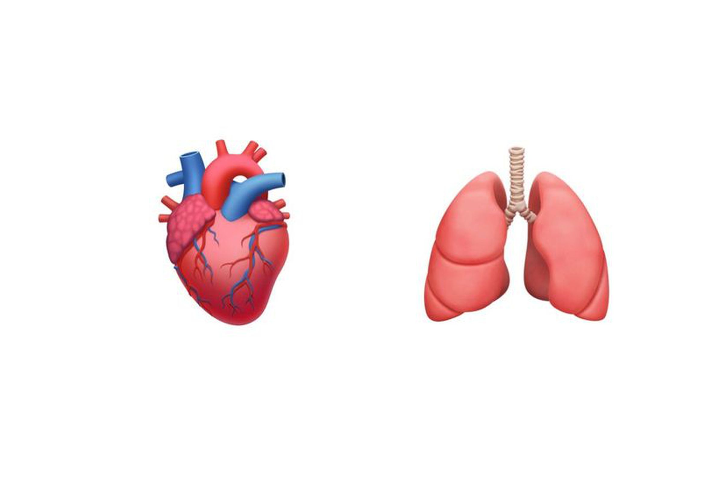 Emoji for the anatomical heart on the left and the lungs on the right, on a white background.