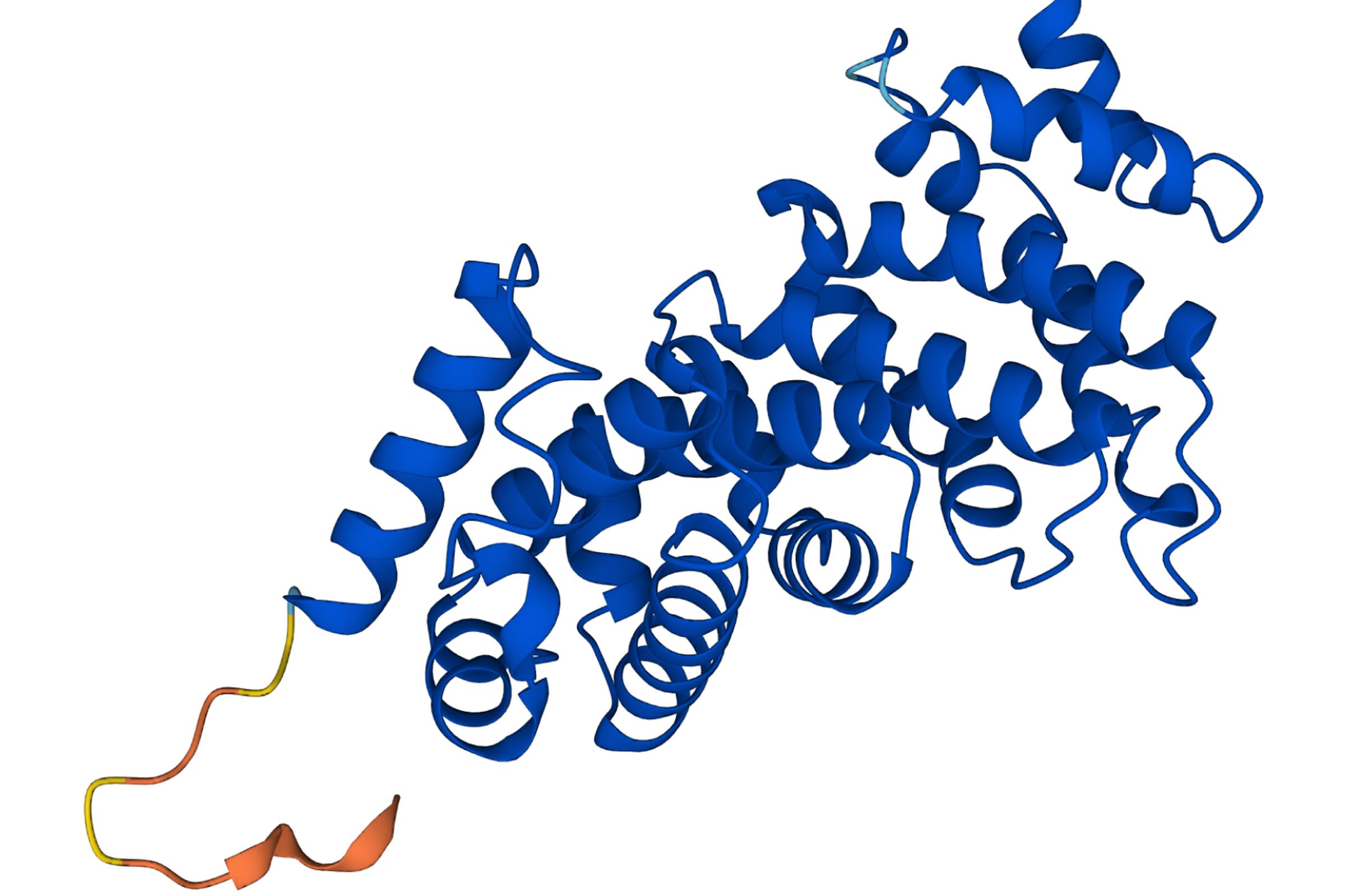A protein structure identified by AlphaFold.